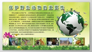 绿色保护野生动物重要性展板模板